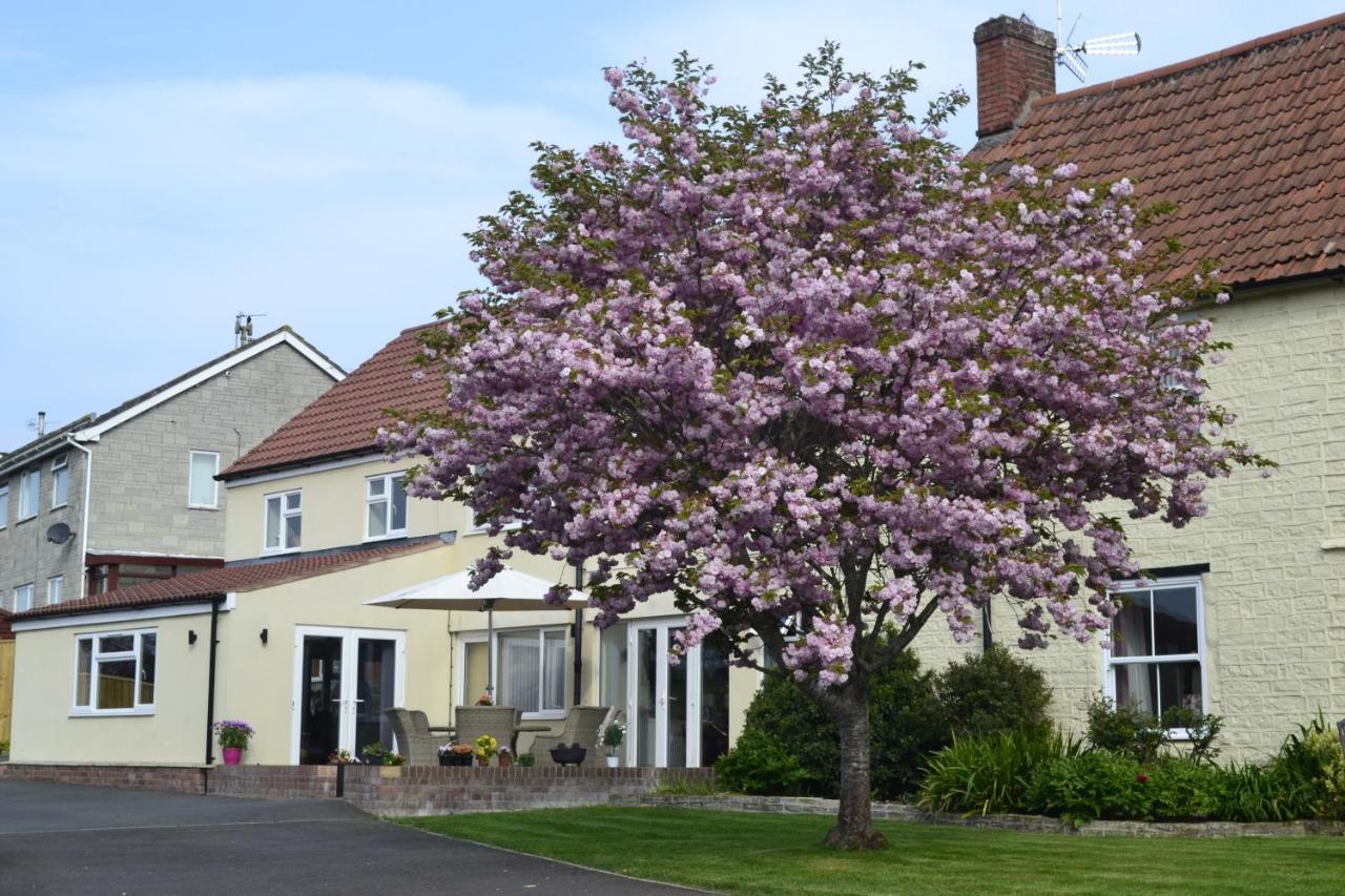 The Lawns Tea Room And B&B Ashcott Dış mekan fotoğraf